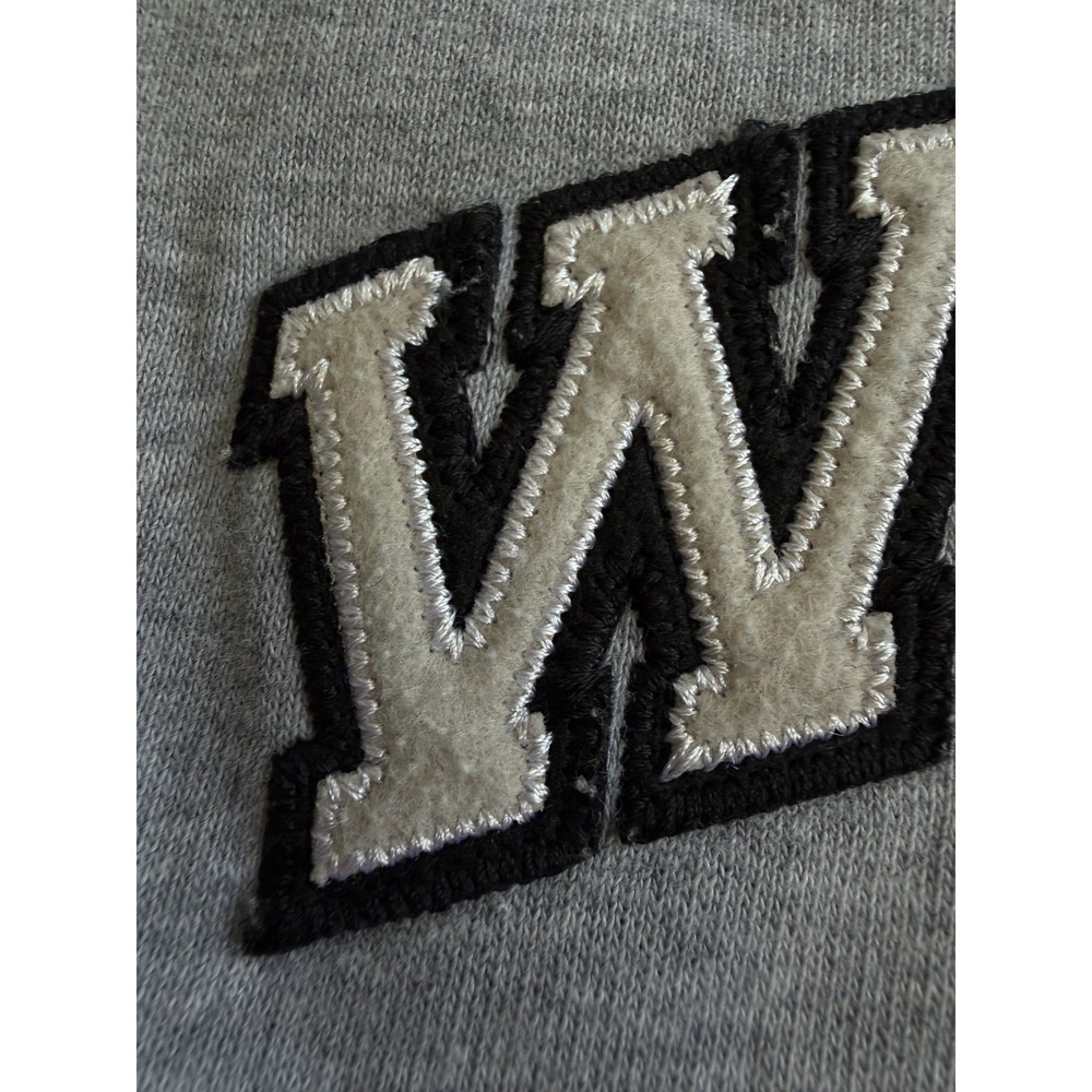Walt Disney World Men's Large Gray Mickey Mouse Long Sleeve Pullover Hoodie - Picture 3 of 14